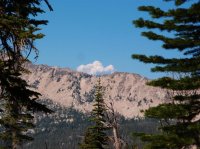 P8112056ed (Large).jpg P8112056ed (Large).jpg