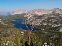 P8112063ed (Large).jpg P8112063ed (Large).jpg