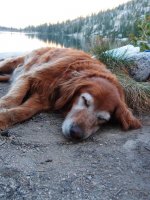 P8112092ed (Large).jpg P8112092ed (Large).jpg