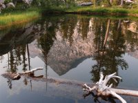 P8122100ed (Large).jpg P8122100ed (Large).jpg