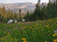 P8122106ed (Large).jpg P8122106ed (Large).jpg