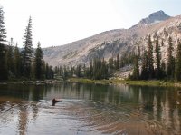 P8122110ed (Large).jpg P8122110ed (Large).jpg