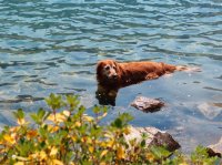 P8122150ed (Large).jpg P8122150ed (Large).jpg