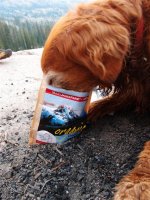 P8101955ed (Large).jpg P8101955ed (Large).jpg