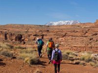 P3298764ed (Large).jpg P3298764ed (Large).jpg