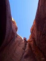 P3298782ed (Large).jpg P3298782ed (Large).jpg