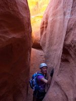 P3298795ed (Large).jpg P3298795ed (Large).jpg