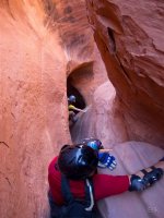 P3298796ed (Large).jpg P3298796ed (Large).jpg