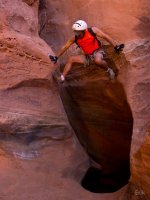 P3298819ed (Large).jpg P3298819ed (Large).jpg