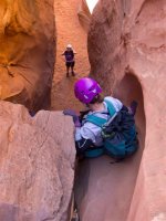 P3298856ed (Large).jpg P3298856ed (Large).jpg