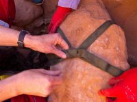 P3298904ed (Large).jpg P3298904ed (Large).jpg