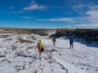 P2107204ed (Large).jpg