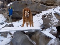 P2107231ed (Large).jpg