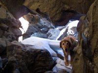 P2107306ed (Large).jpg