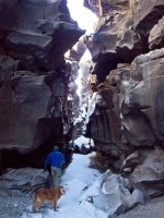 P2107348ed (Large).jpg