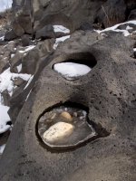 P2107430ed (Large).jpg