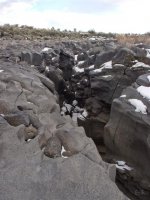 P2107445ed (Large).jpg