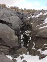 P2107448ed (Large).jpg