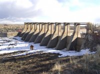 P2107467ed (Large).jpg