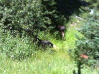 Photo Aug 04, 12 54 53 PM.jpg