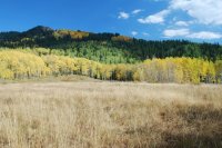 Willow Lake Oct 2010_100210_0340.JPG Willow Lake Oct 2010_100210_0340.JPG