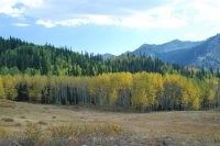 Willow Lake Oct 2010_100210_0349.JPG Willow Lake Oct 2010_100210_0349.JPG