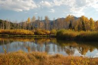 Willow Lake Oct 2010_100210_0377.JPG Willow Lake Oct 2010_100210_0377.JPG