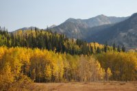 Willow Lake Oct 2010_100210_0379.JPG Willow Lake Oct 2010_100210_0379.JPG