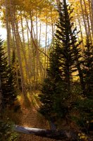 Bells Canyon_McKinleyCutler_3.jpg