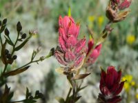 DSCN0188.JPG DSCN0188.JPG