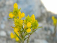 DSCN0191.JPG DSCN0191.JPG