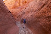 fifty-mile-creek-escalante-2.jpg