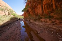 fifty-mile-creek-escalante-3.jpg
