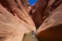 fifty-mile-creek-escalante-10.jpg