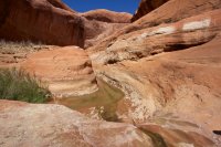 fifty-mile-creek-escalante-11.jpg