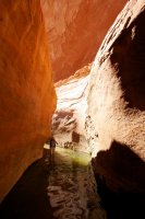 fifty-mile-creek-escalante-13.jpg