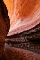 fifty-mile-creek-escalante-14.jpg