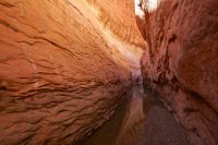 fifty-mile-creek-escalante-15.jpg