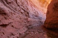 fifty-mile-creek-escalante-16.jpg