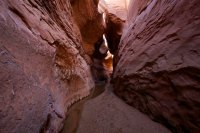 fifty-mile-creek-escalante-17.jpg
