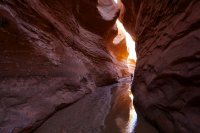fifty-mile-creek-escalante-19.jpg