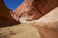 fifty-mile-creek-escalante-21.jpg
