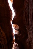 fifty-mile-creek-escalante-23.jpg