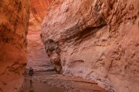 fifty-mile-creek-escalante-24.jpg