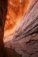 fifty-mile-creek-escalante-25.jpg