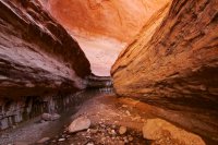 fifty-mile-creek-escalante-26.jpg