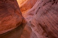 fifty-mile-creek-escalante-27.jpg