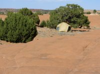 IMG_4295.JPG IMG_4295.JPG