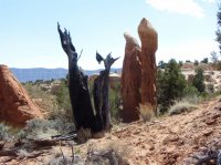 IMG_4263.JPG IMG_4263.JPG