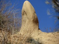 IMG_4271.JPG IMG_4271.JPG